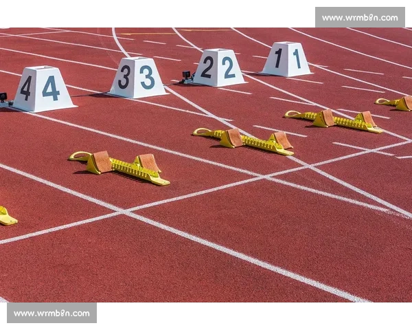 大型体育赛事应急保障与安全管理全流程预案研究与实施 大型体育赛事应急保障与安全管理全流程预案研究与实施